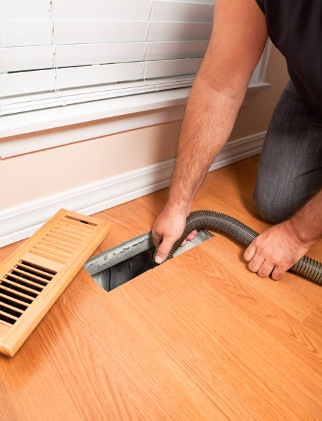 Best Home Air Vent Cleaning  in Potterville, MI